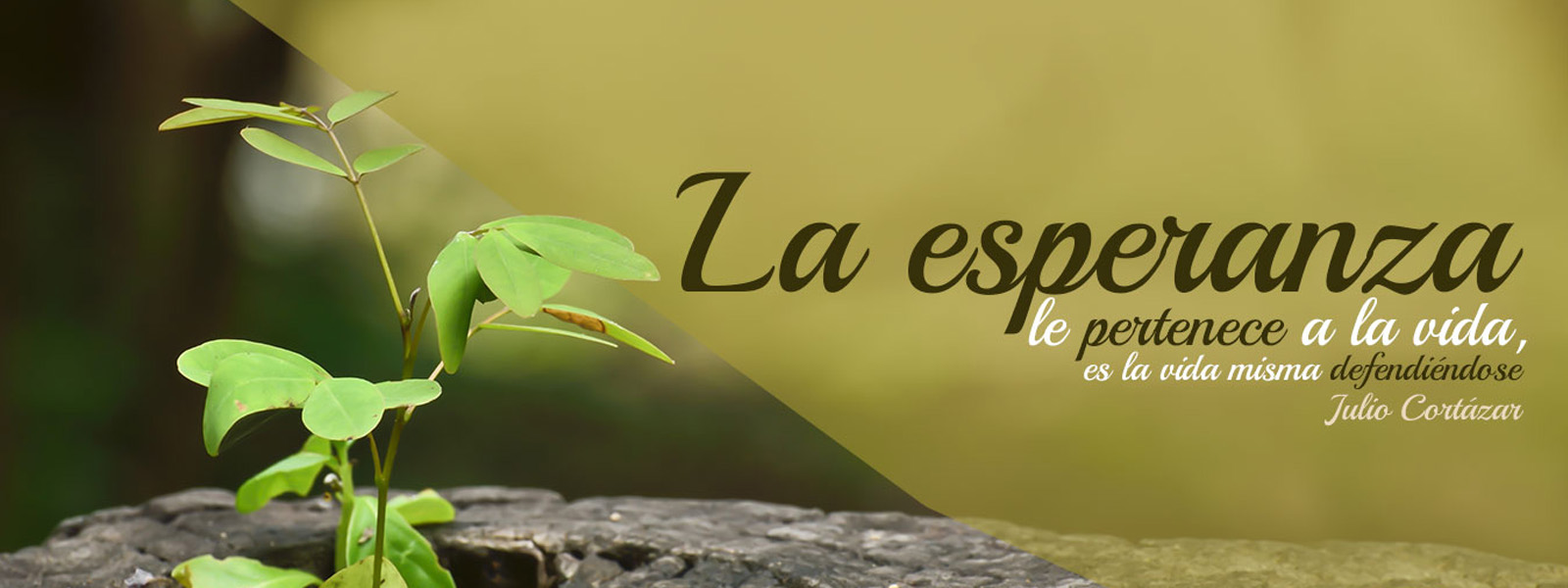 Tener Esperanza
